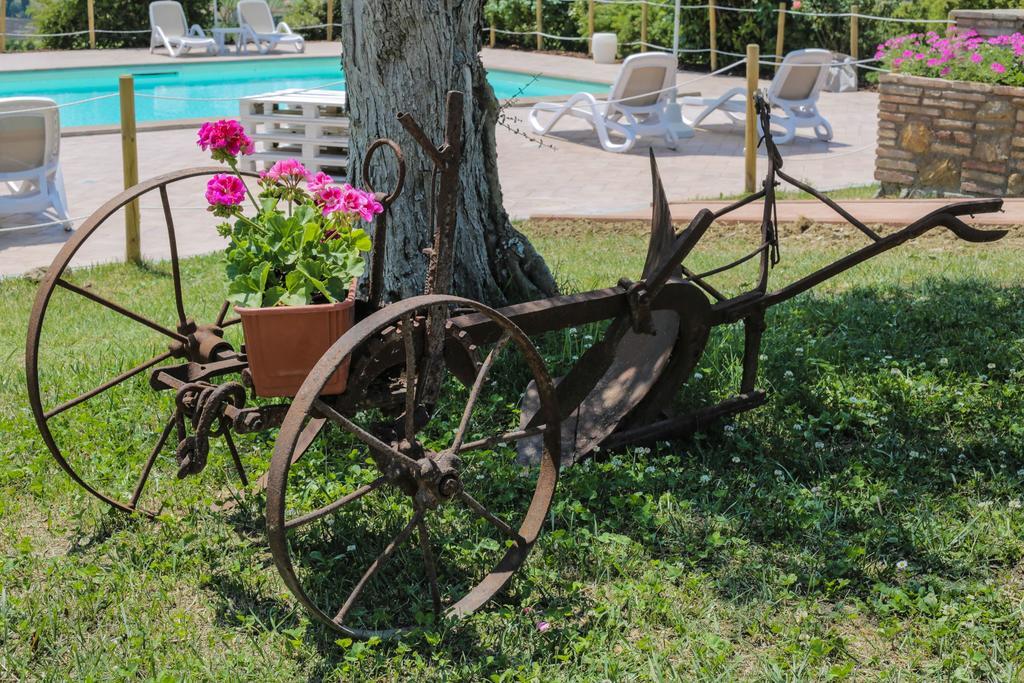 Alloggio per agriturismo Il Divin Casale Torgiano