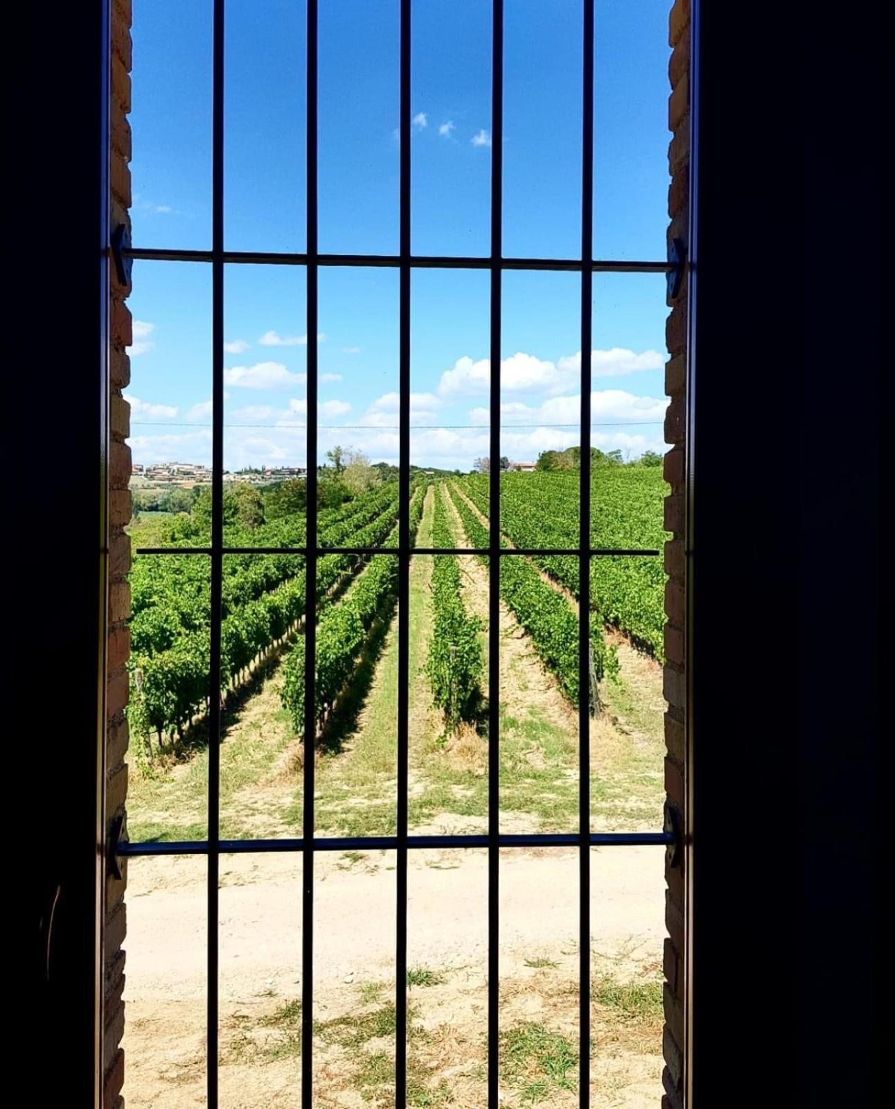 Bauernhof Il Divin Casale Torgiano